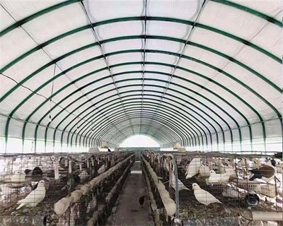 天津泰福包塑管养殖大棚的法律风险与合规建议